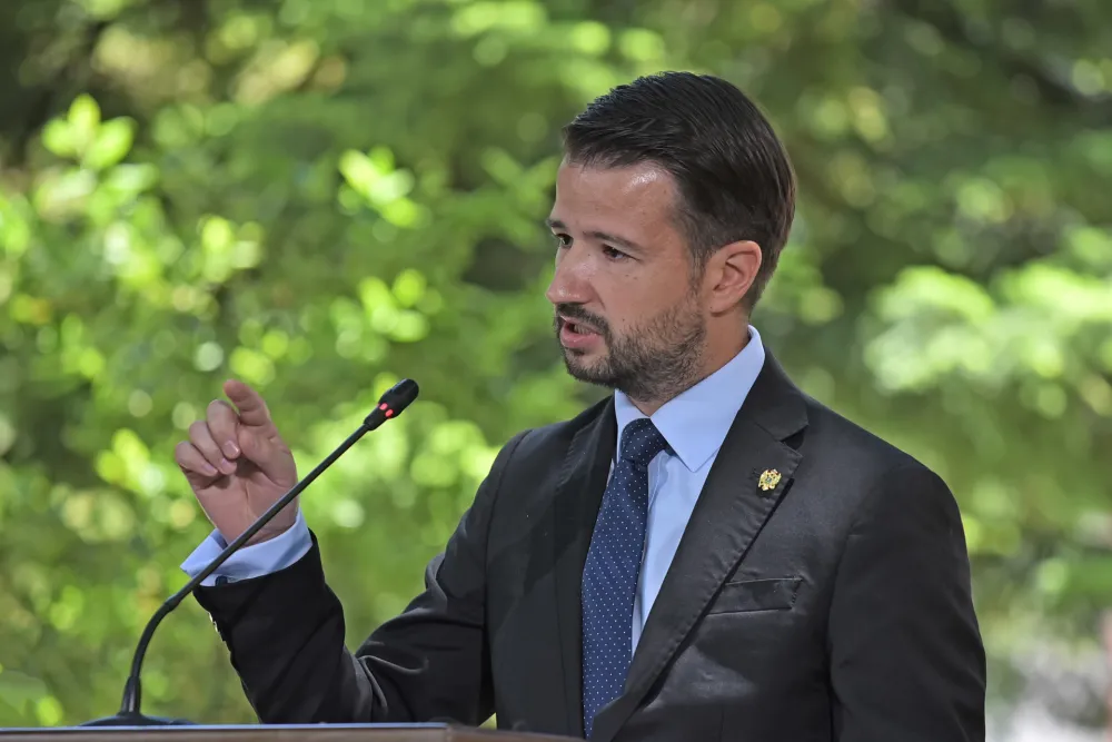 Milatović:&nbsp;Poslanici morali temeljnije sagledati primjedbe koje je uputio na dva IBAR zakona