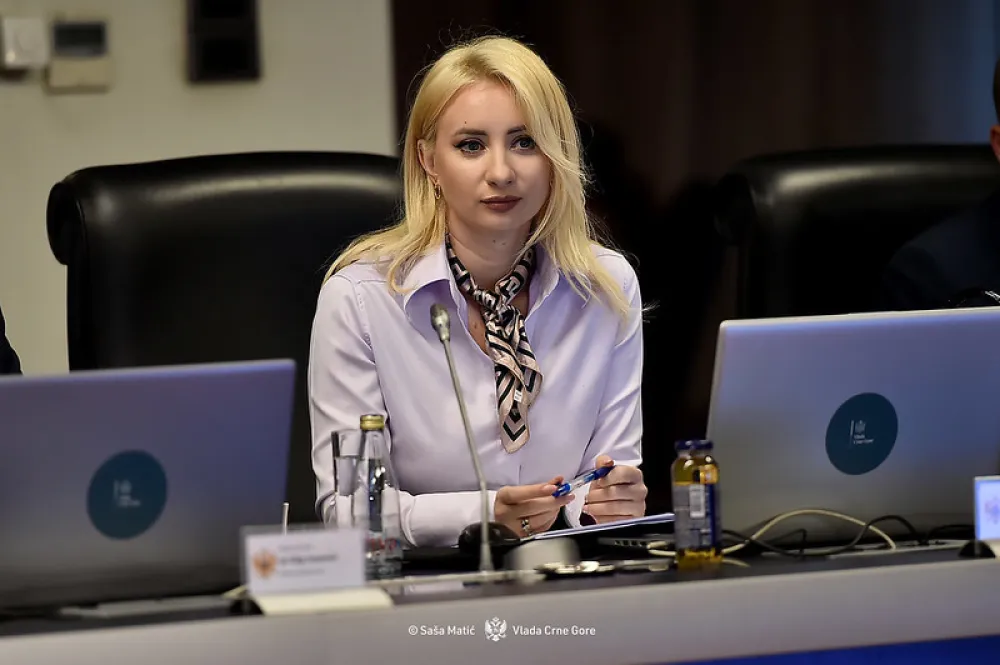 Gorčević: Usvajanjem novog Zakona stvorićemo pretpostavke da postanemo dio SEPA
