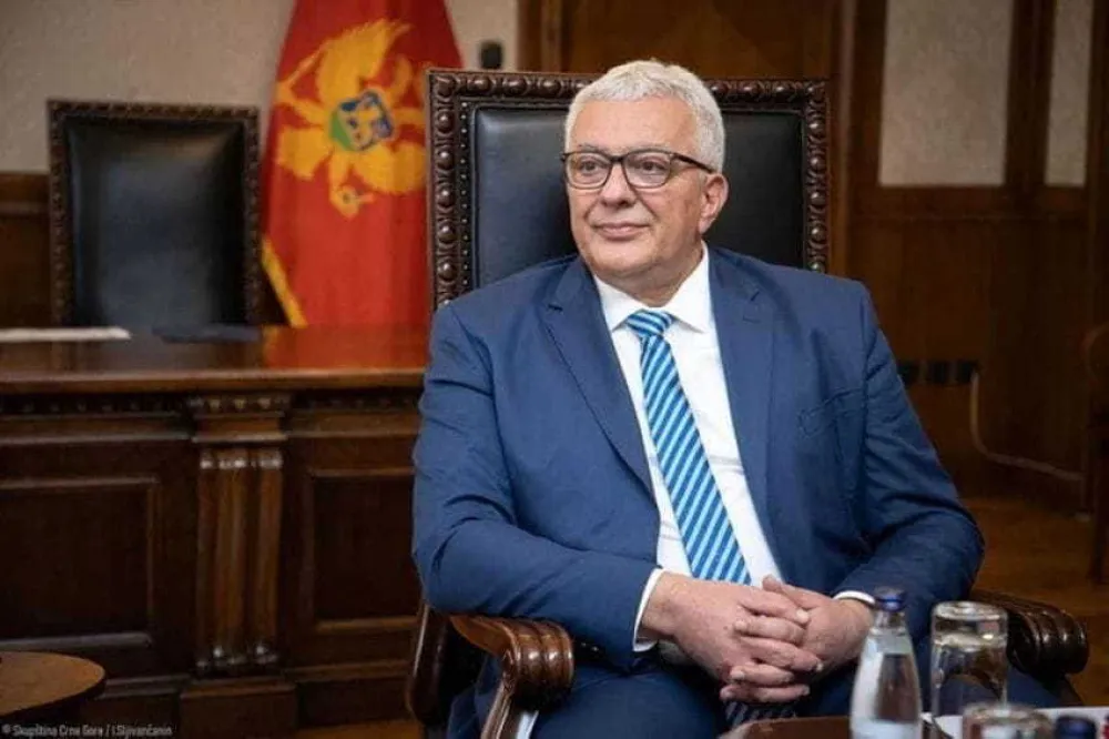Mandić: Vućić nema veze sa rezolucijom o Jasenovcu, lično sam je predložio