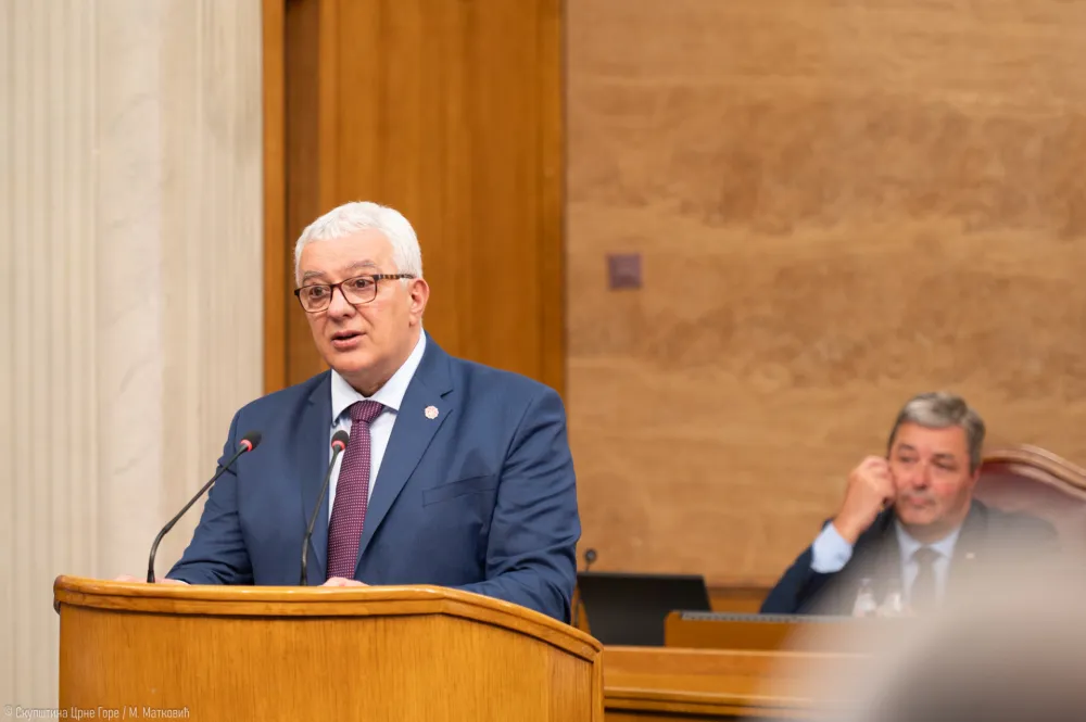 Mandić: Niti me zvao Vučić, niti smo mi zvali njega, rezolucija je stvar Crne Gore