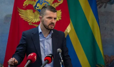 Ammar Borančić, LP