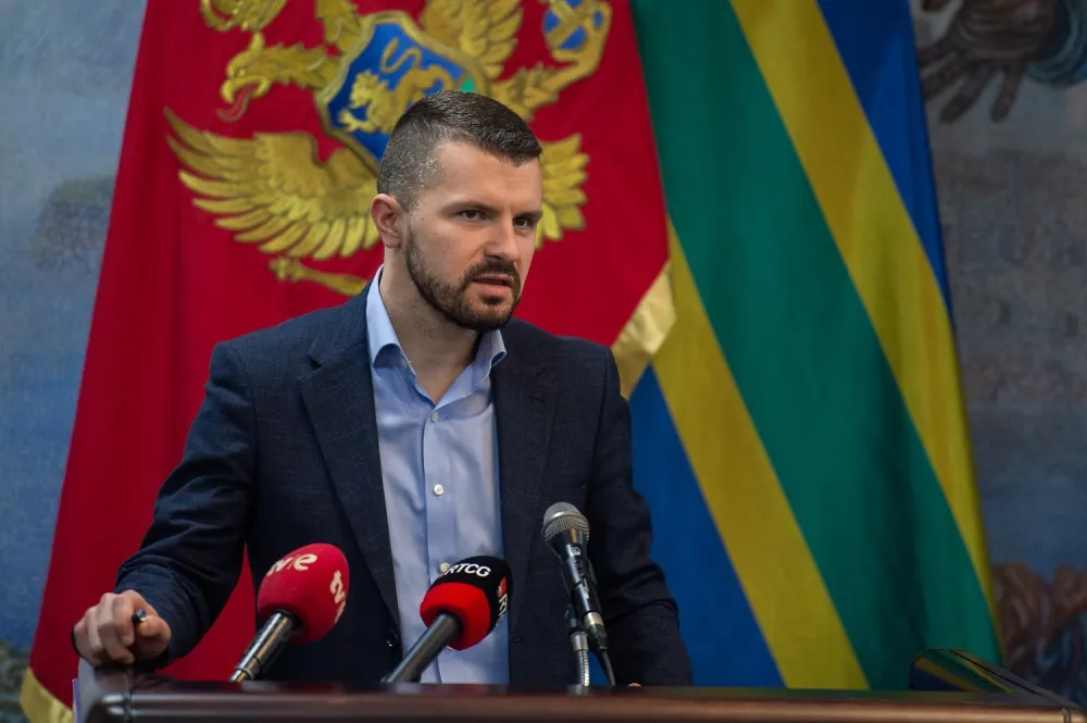 Ammar Borančić, LP