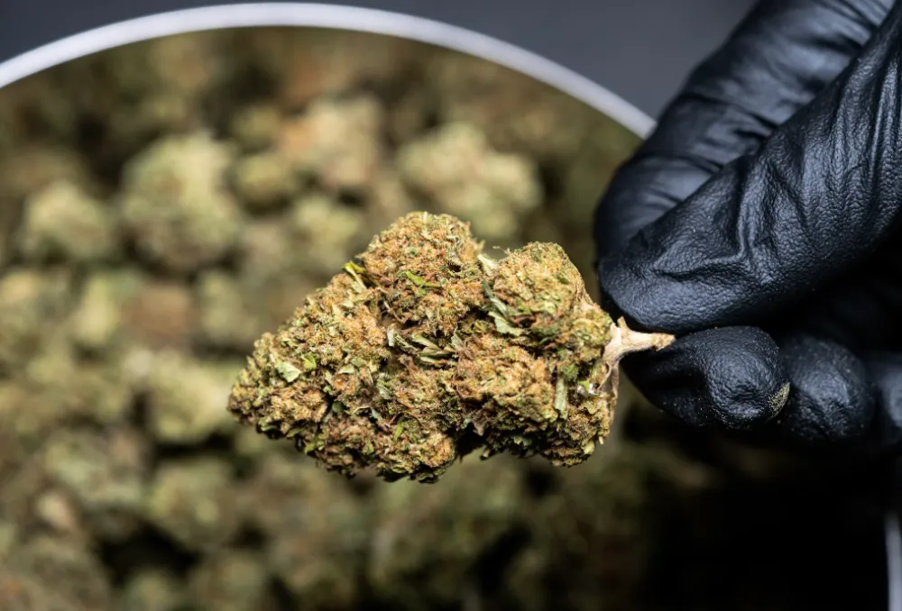 U Baru uhap&scaron;ena osoba kod koje je pronađena marihuana i heroin
