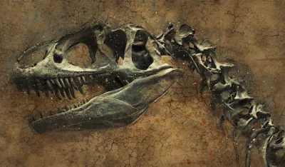 (VIDEO) Zahvaljujući jakoj ki&scaron;i u Brazilu isplivali ostaci dinosaurusa iz doba superkontinenta