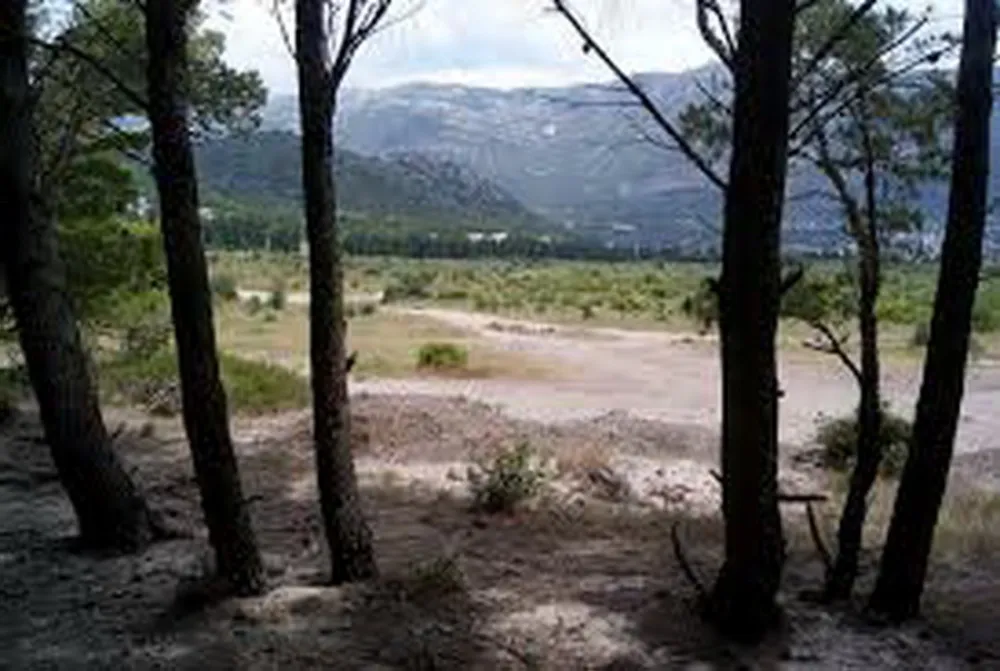 Spičansko polje