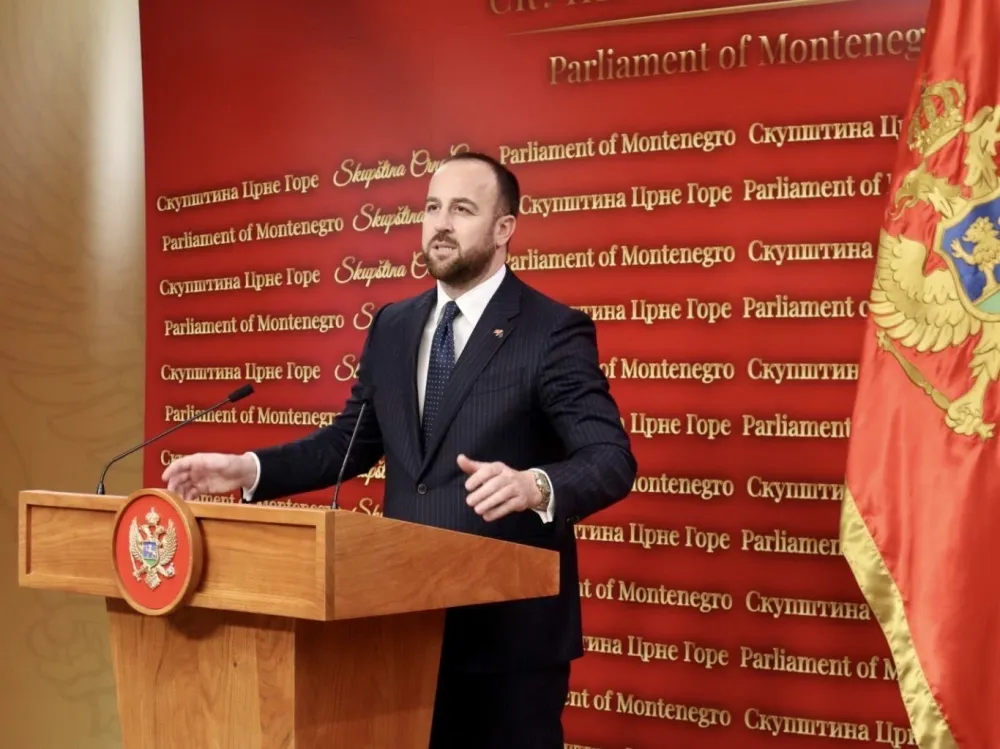 Nikolić: SDT odbacio krivičnu prijavu protiv Mandića