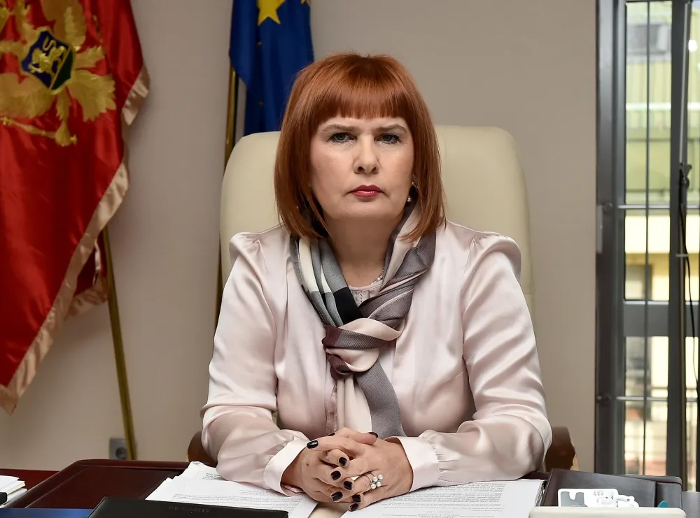 Pavličić i Vuković u trci za &scaron;efa sudstva
