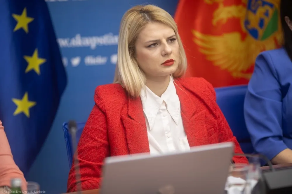 Nedović za "Dan": Naјglasniјi su oni koјi ne žele Crnu Goru u Evropi