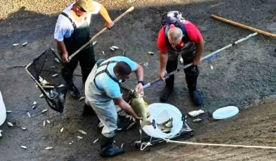 Spasavanje ribe