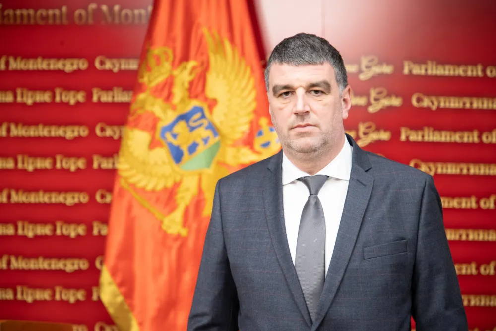 Zečević: PES podržava zahtjeve drvoprerađivača - jednaki uslovi za sve