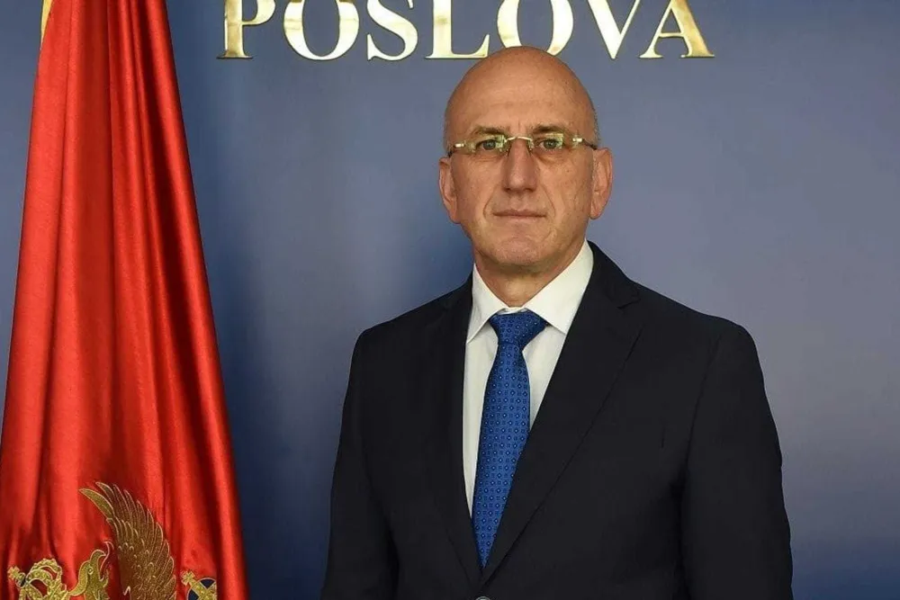 Be&scaron;ović: Požari pod kontrolom