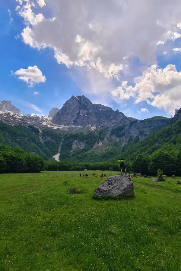 Nadzornici NP Prokletije verbalno napadnuti na radnom mjestu