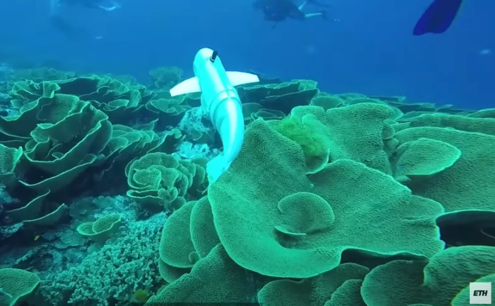(VIDEO) Robotska riba zvana Eva krstari &scaron;vajcarskim jezerom