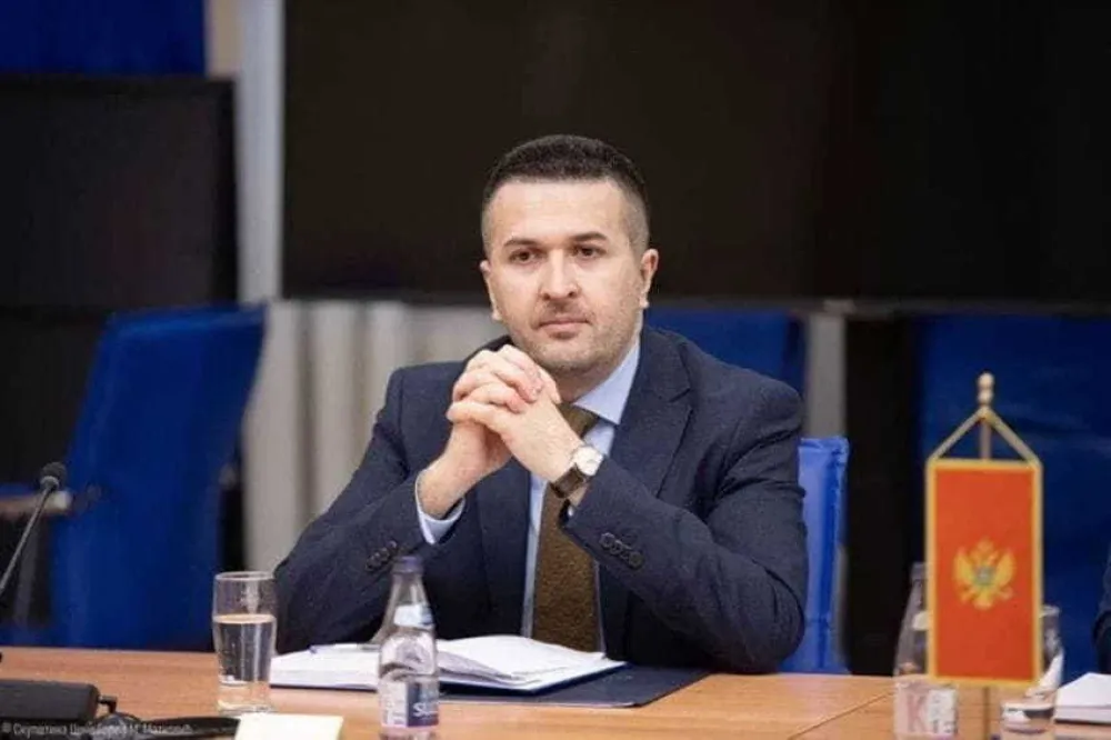 Pejović: Poskupljenja su i u Americi, opozicija bi sigurno tvrdila da je to zbog "Evropa sad 2"