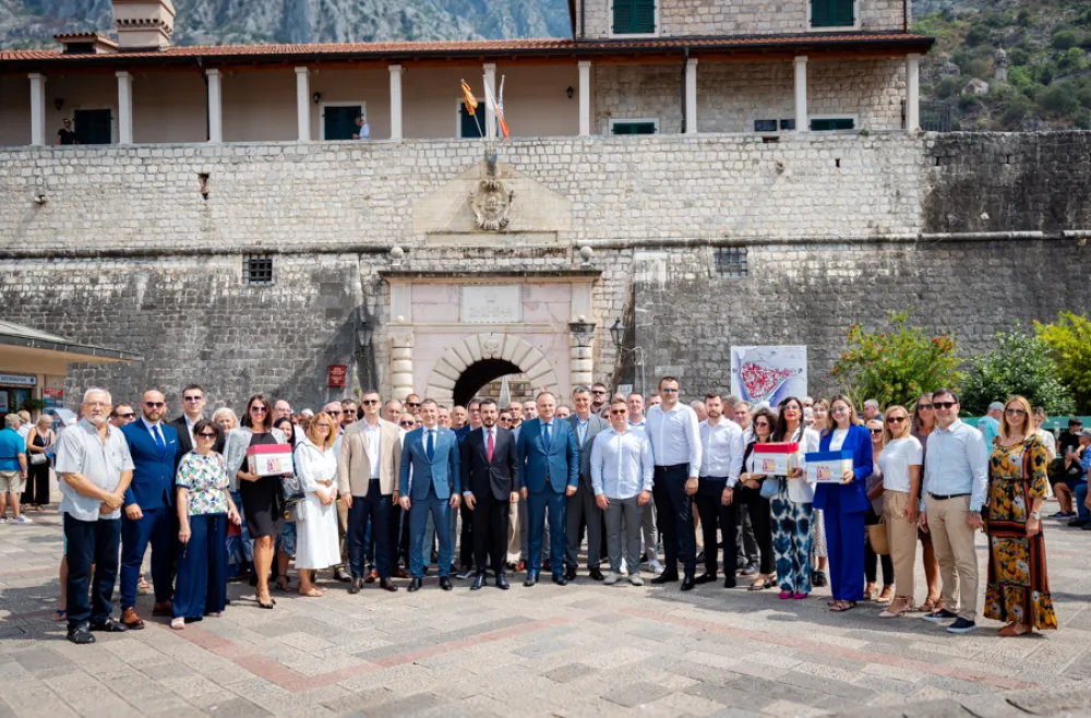 koalicija demokrate kotor