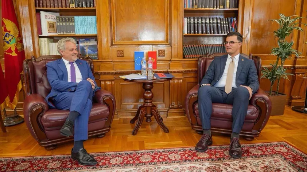 &Scaron;aranović - Satler: Evropska unija garant sigurne i prosperitetne Crne Gore