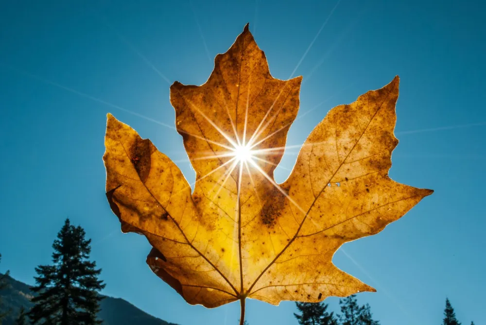 foto: Unsplash