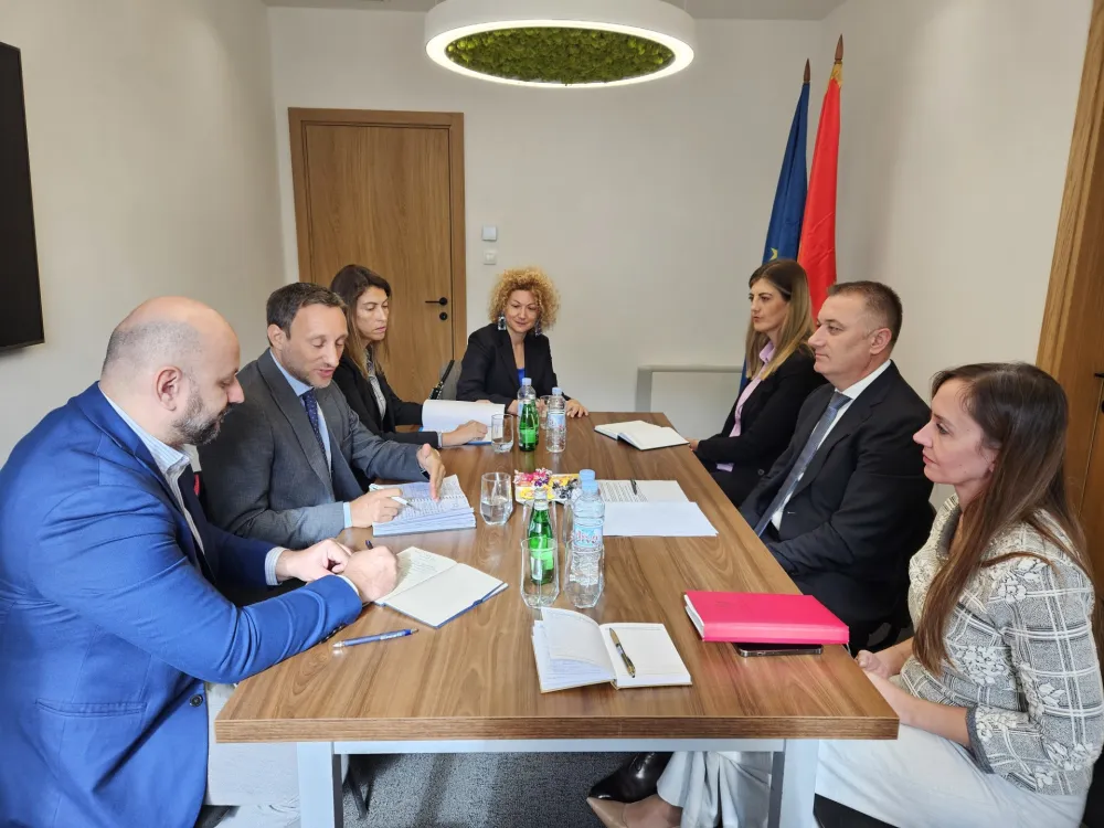 Gutić - Servadei: Bezbjedno porodično okruženje za svako dijete