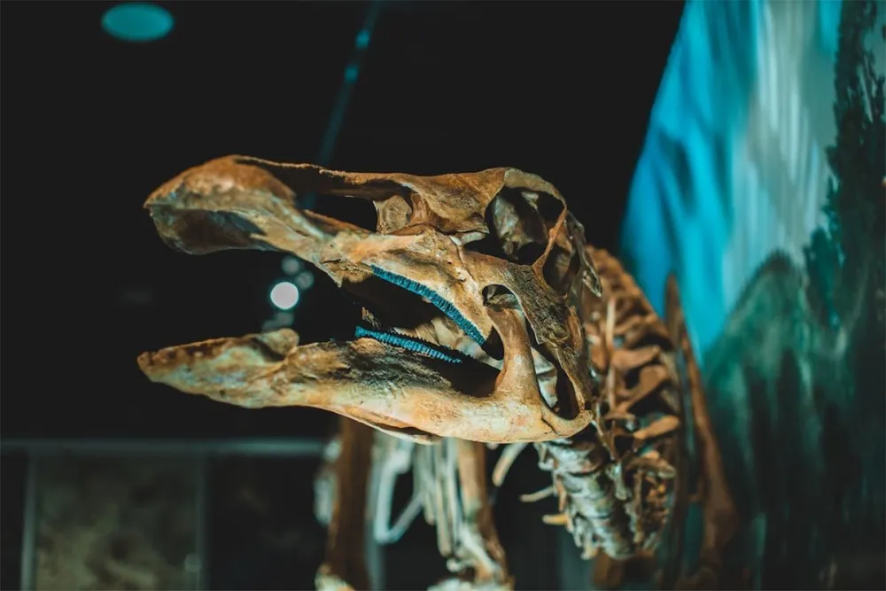 U Kanadi otkrivena lobanja dinosaurusa te&scaron;ka skoro 300 kilograma