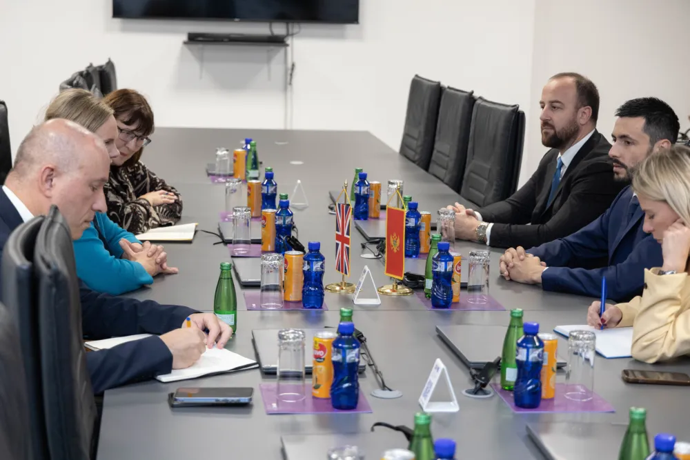 Živković &ndash; Biling: Važna konstruktivna uloga DPS u procesu EU integracija, zabrinutost zbog mije&scaron;anja trećih strana