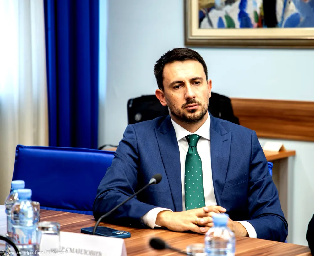 Smailović: Mandić da ne govori u ime parlamentarne većine, nema saglasnost BS