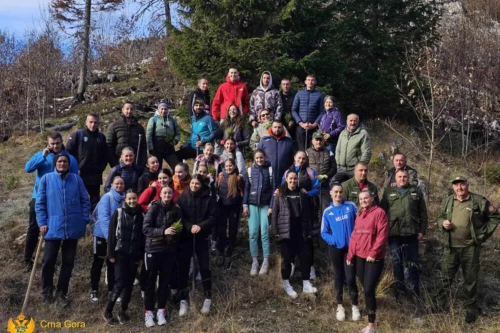 Pet hiljada sadnica četinara zasađeno u akciji po&scaron;umljavanja u Mojkovcu