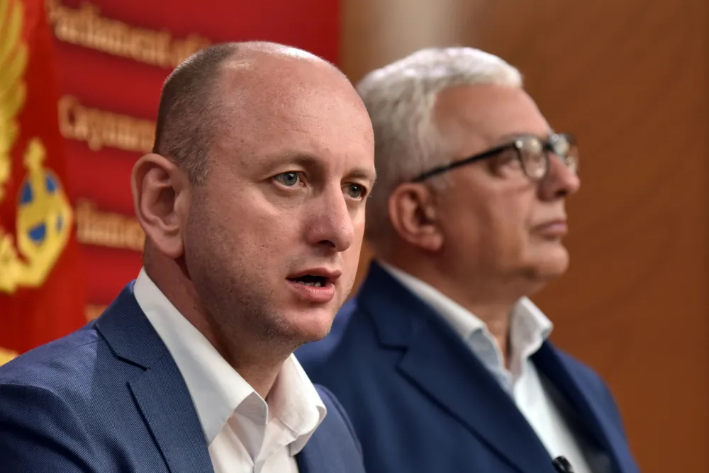 Knežević: Formiran predmet protiv Katnića, Čađenovića i Pažina