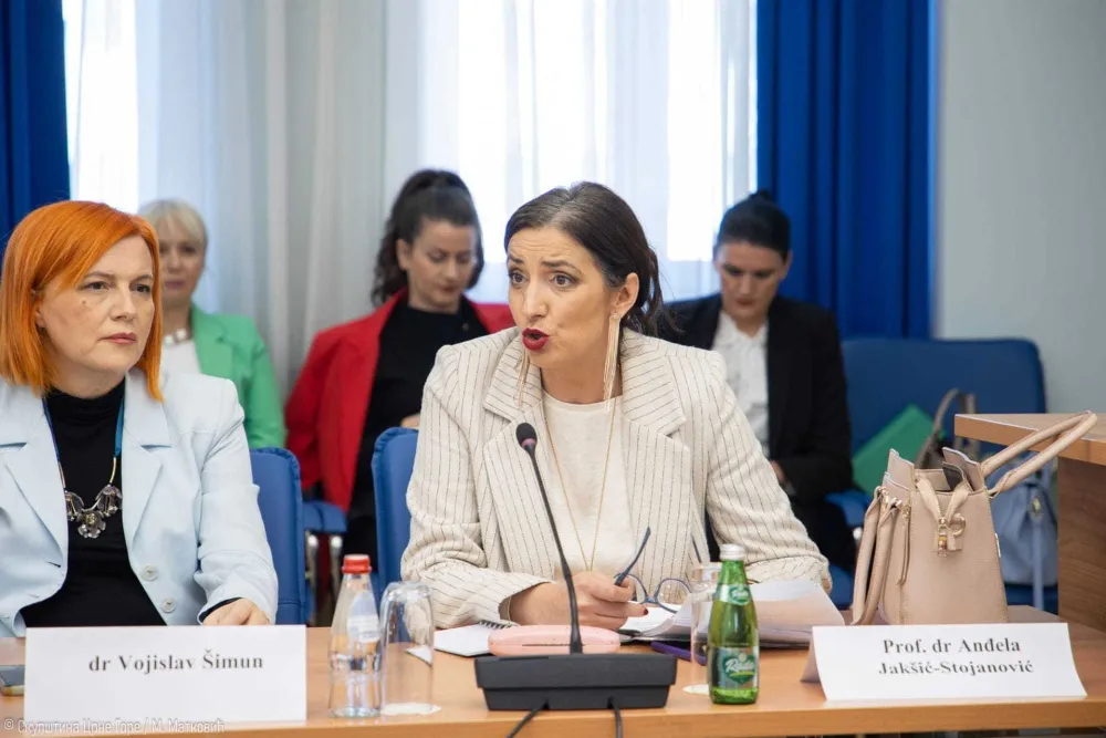 Iz MPNI najavili: Stručnjaci će birati direktore, ministar odlučuјe