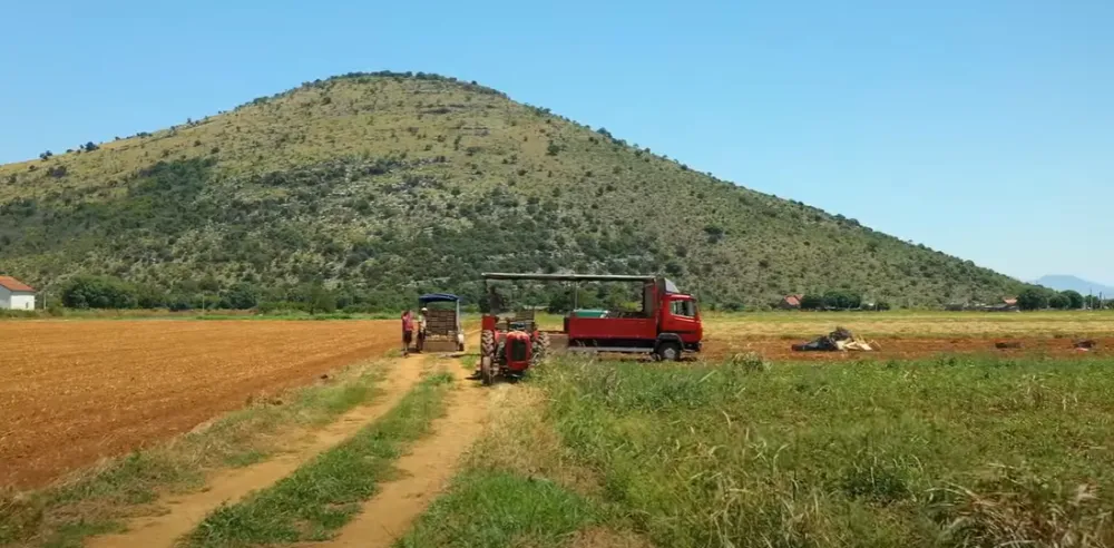 MONSTAT: U planu postpopisno istraživanje Popisa poljoprivrede