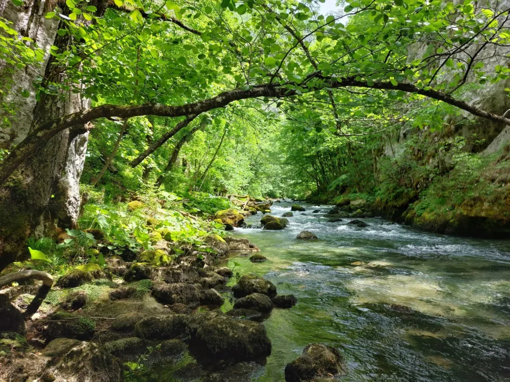 Osnovana Agencija za upravljanje za&scaron;tićenim područjima Bijelog Polja