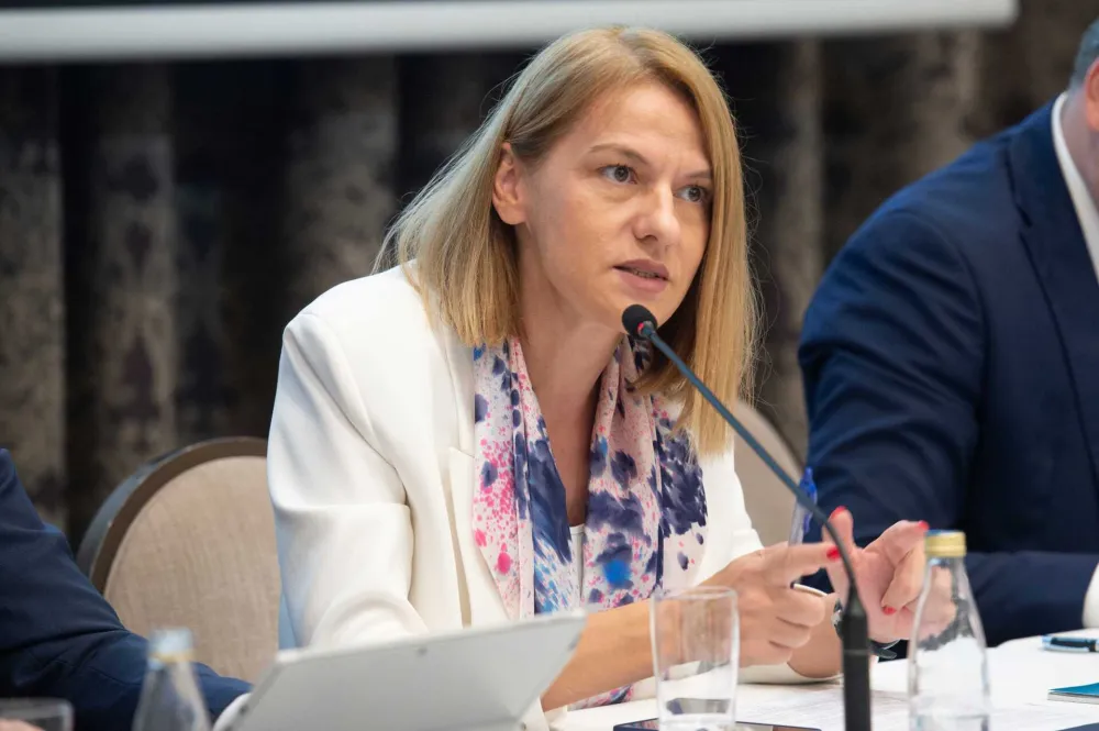 Drakić: Neophodna diversifikacija ekonomije i unapređenje poslovnog ambijenta