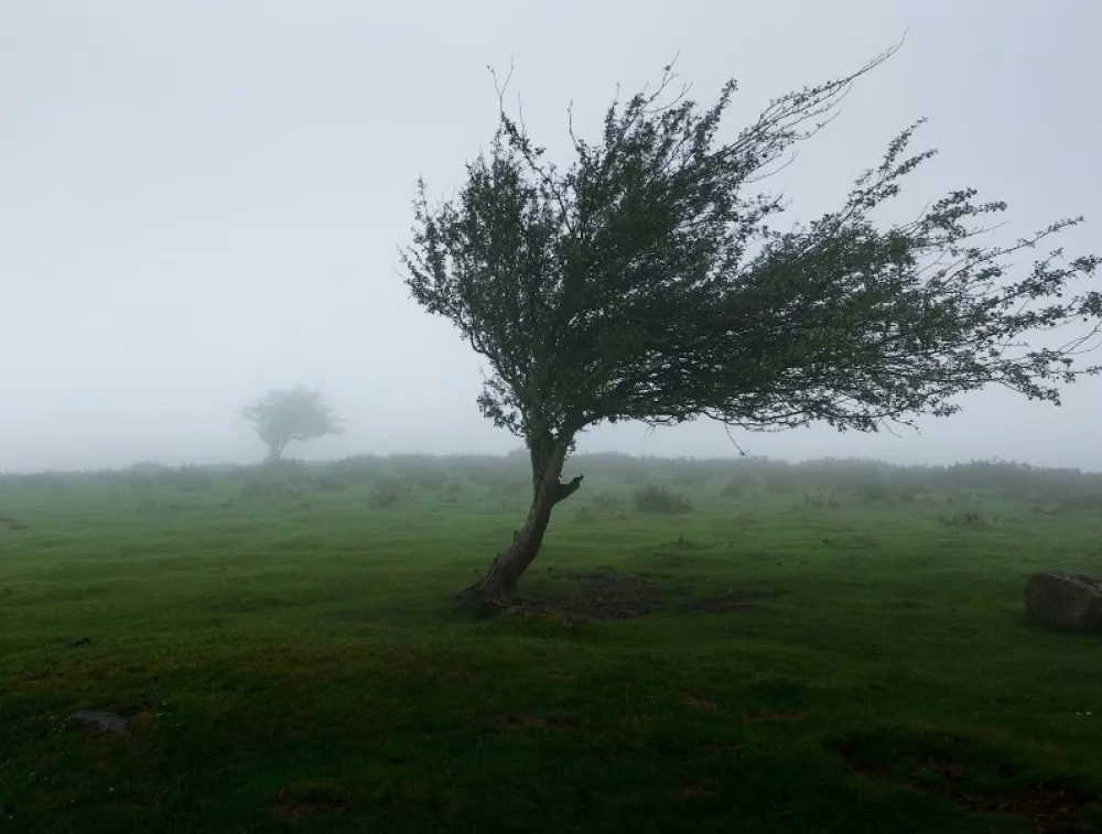 Za sjutra crveni&nbsp;meteo-alarm: Upozorenje na olujni vjetar, temperatura vazduha do 10 stepeni