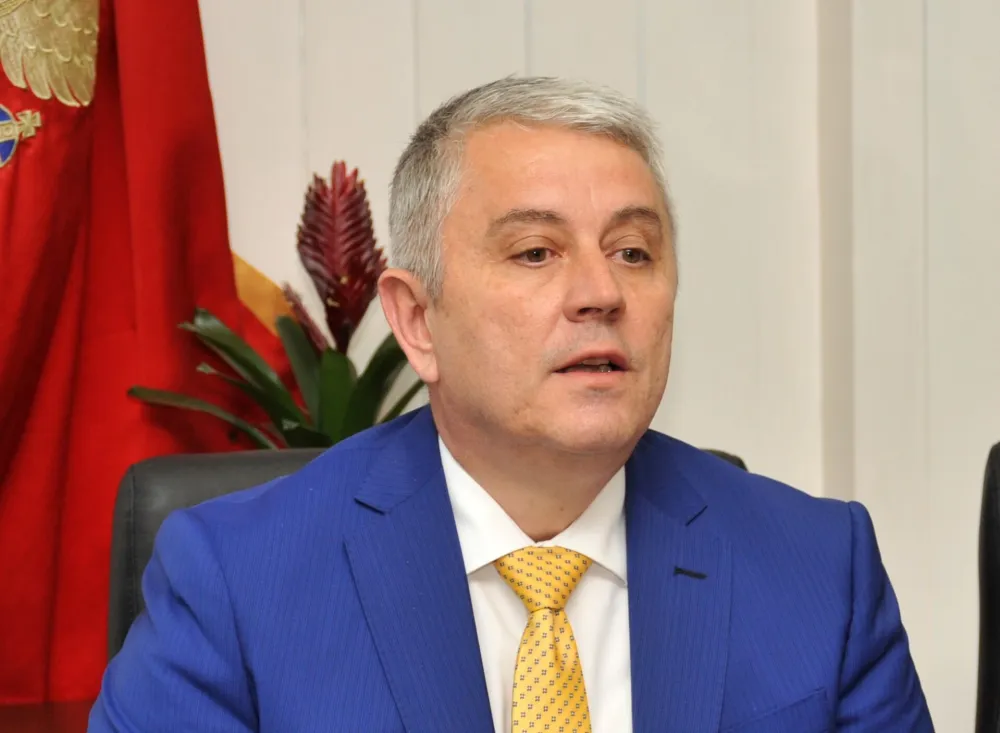 Predsjednik podgoričkog Vi&scaron;eg suda oduzeo predmete Nadi Rabrenović: &bdquo;Plantaže&rdquo;, Zvicer, Čađenović i drugi čekaju nove sudije