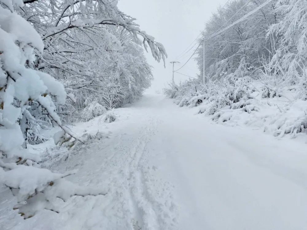 Sela bez struje