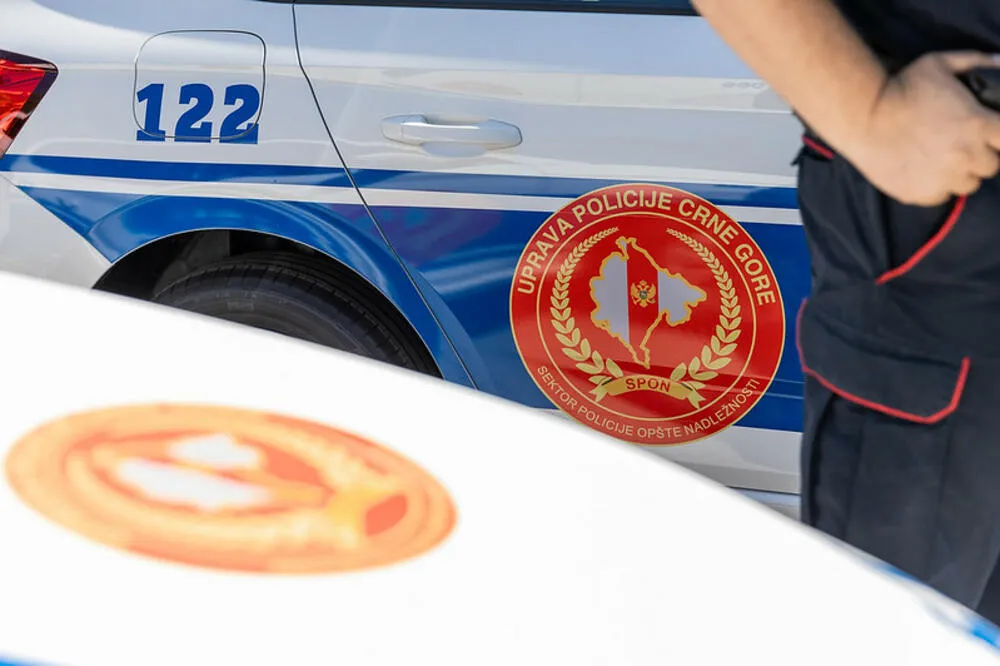 Tokom januara u Nik&scaron;iću rasvijetljeno deset te&scaron;kih krađa