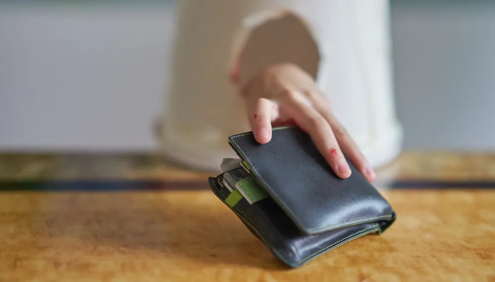 Zadržavanje do 72 sata zbog krađe novčanika