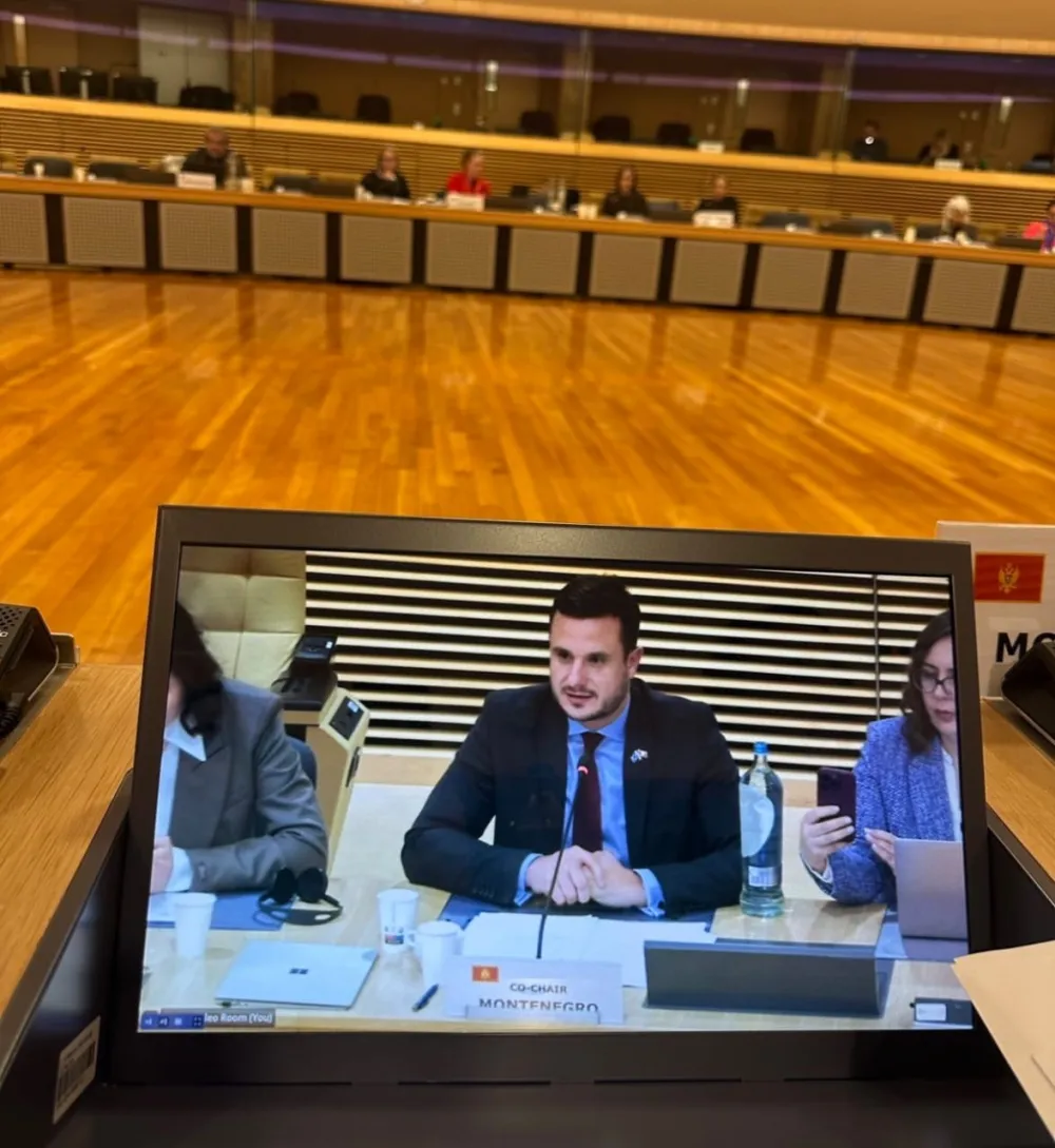 Zenović: Prioritet ispunjavanje obaveza iz evropske agende