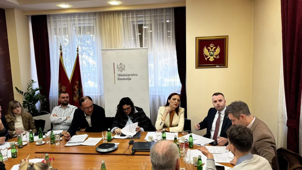 Radna grupa razmatrala Predloga zakona o saradnji Crne Gore sa dijasporom