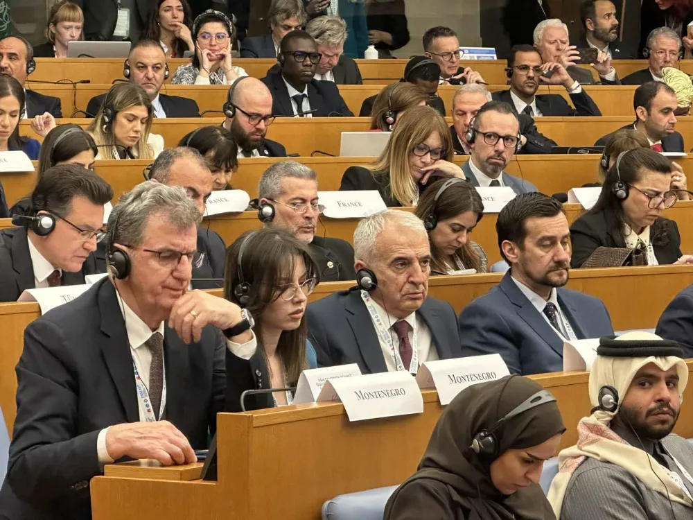 Delegacija Skup&scaron;tine Crne Gore na zasjedanju Parlamentarne skup&scaron;tine Mediterana