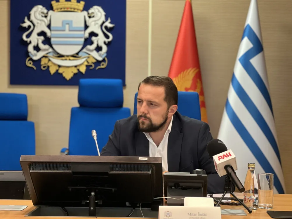 Mitar &Scaron;u&scaron;ić