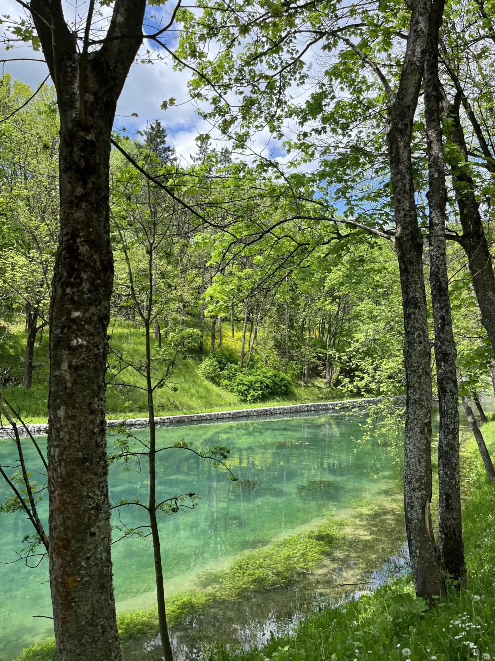 (VIDEO) Sunčano, do 21 stepen