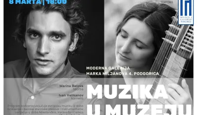 Vizual za koncert
