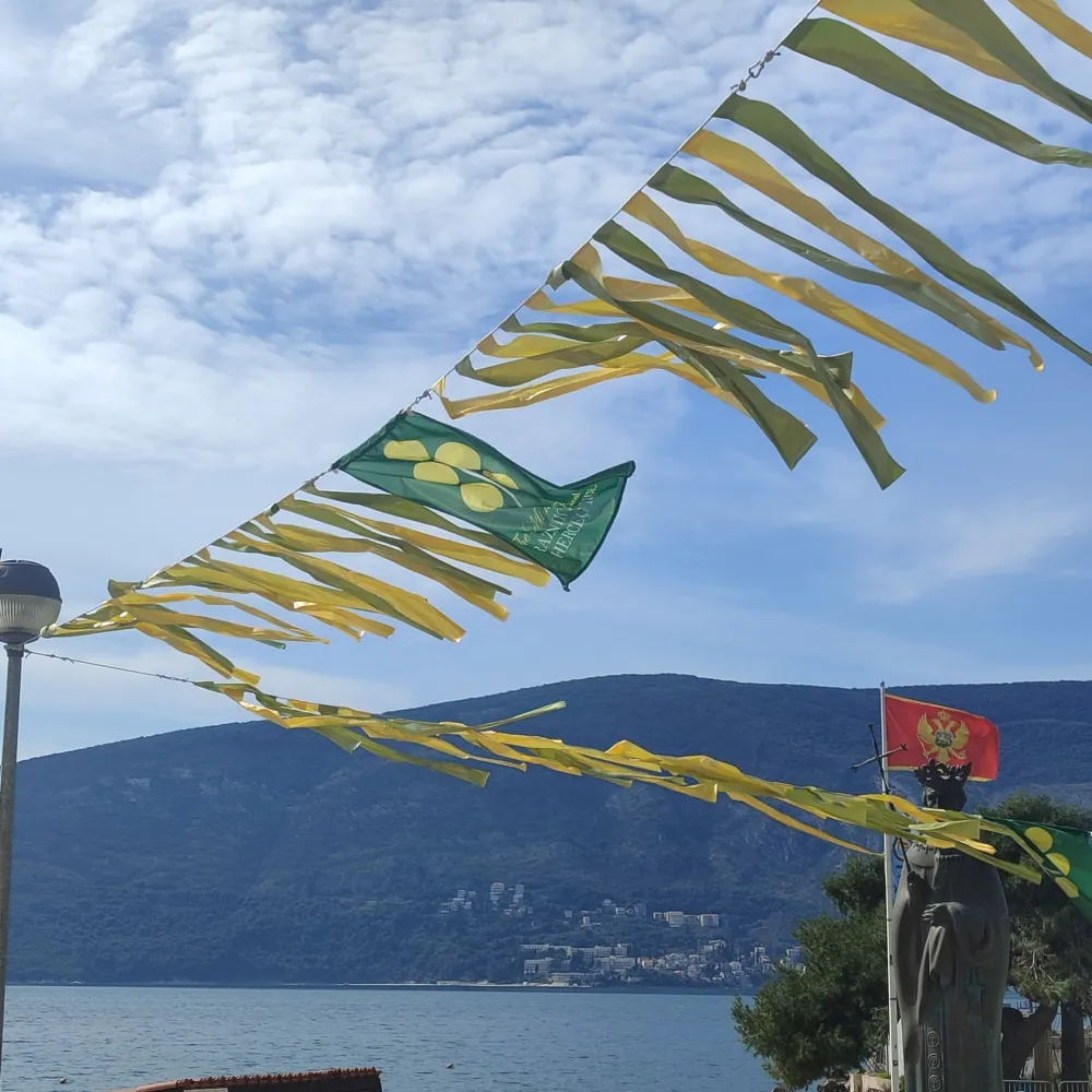 Herceg Novi, broj turista