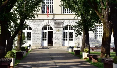 ODT: Odbačena prijava Ministarstva protiv profesora Čečovića