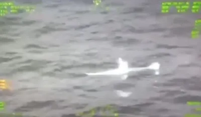 (VIDEO) Dramatičan snimak spasavanja Kostelića - UPSUL: Akcija trajala pet sati, talasi bili visoki četiri metra