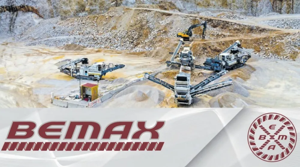 Bemax, reagovanje