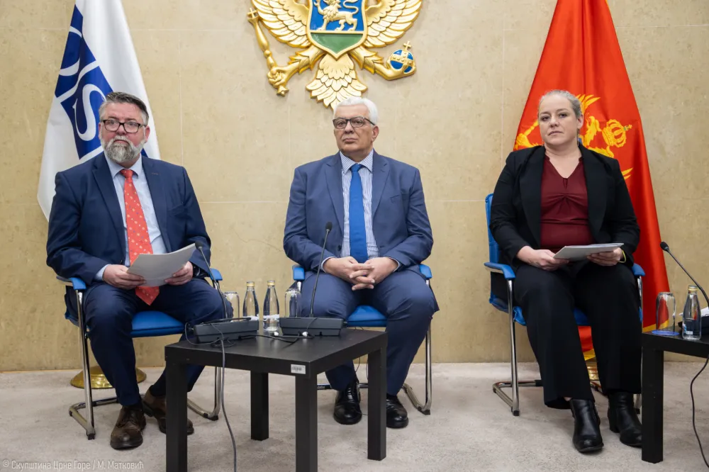 Mandić: Neophodna dalja primjena preporuka OEBS-a i ODIHR-a