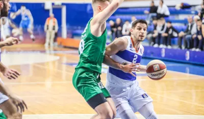 Roko Rogić
