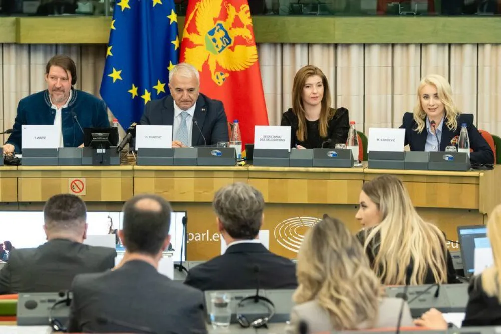 (Foto: Evropski parlament - preuzeto sa RTCG)