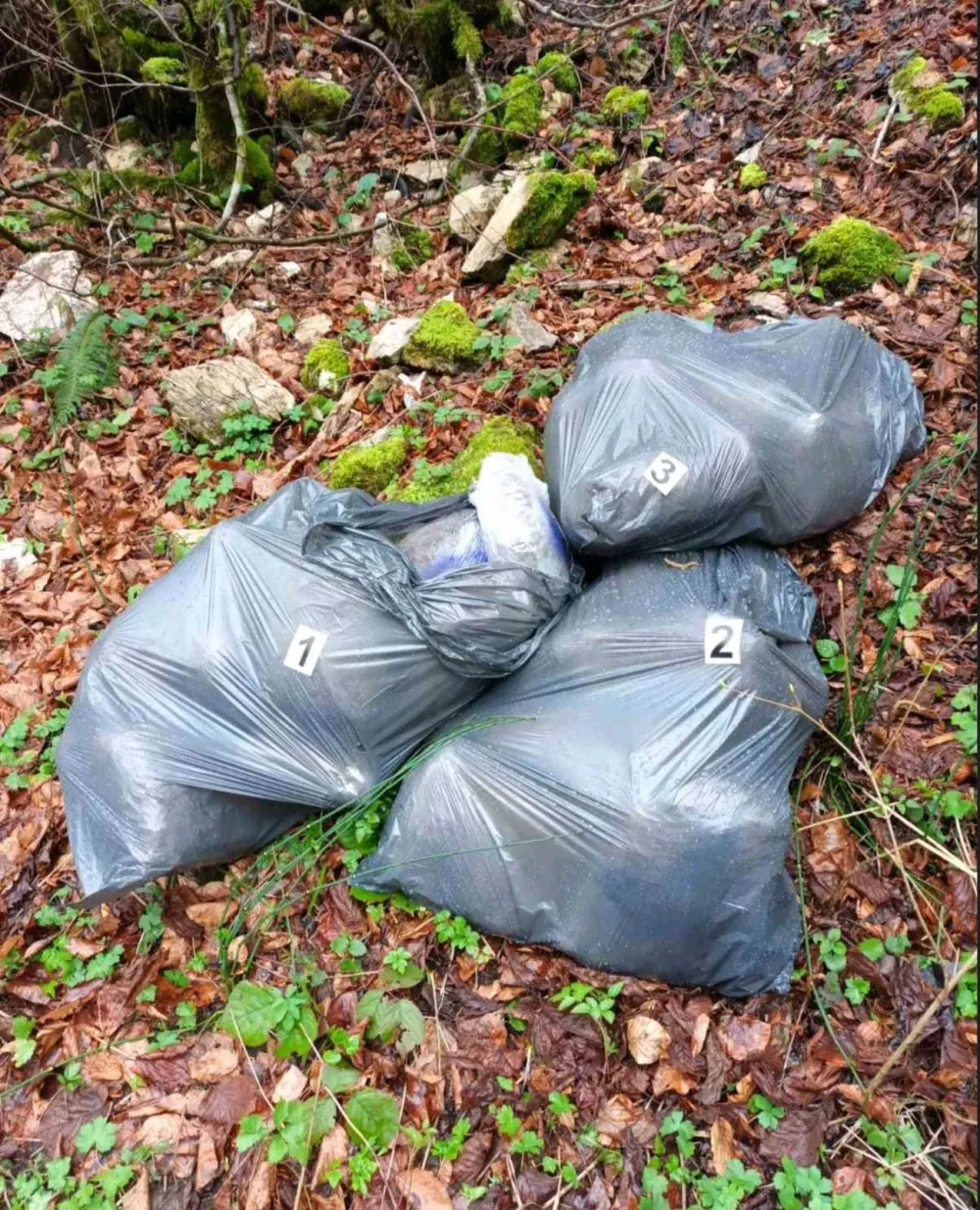 U Beranama pronađeno 30 kilograma marihuane